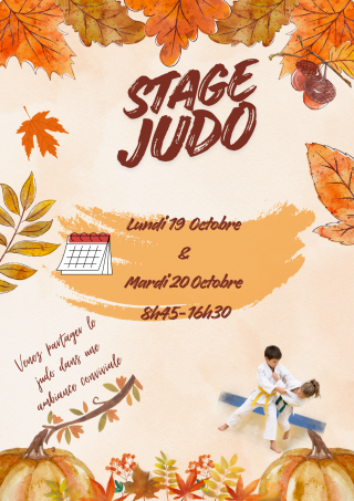 Image de l'actu '1er Stage de l'Année'